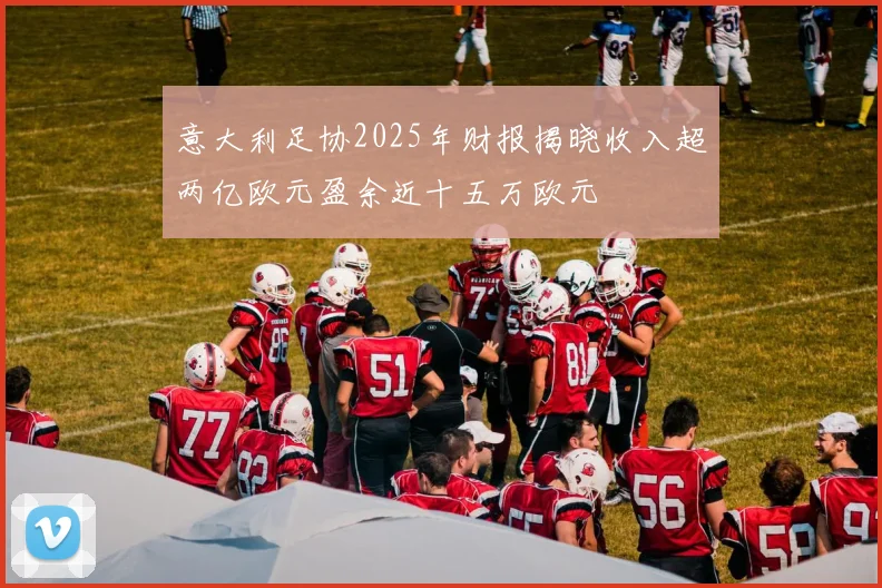 意大利足协2025年财报揭晓收入超两亿欧元盈余近十五万欧元
