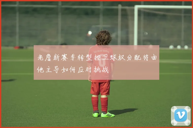 老詹新赛季转型控卫球权分配将由他主导如何应对挑战