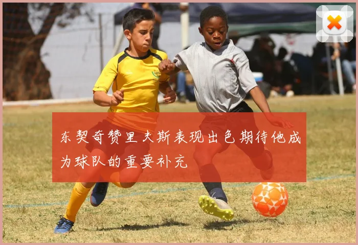 东契奇赞里夫斯表现出色期待他成为球队的重要补充
